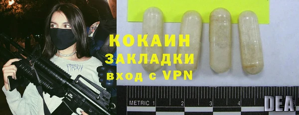 СК Алексин