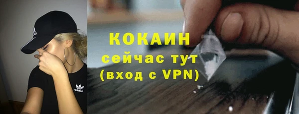 СК Алексин