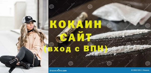 твердый Алексеевка