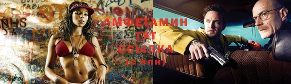 СК Алексин